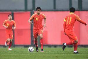 体坛：朱辰杰、王大雷、张玉宁已完全康复，李磊&蒿俊闵单独训练