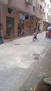 这球比手机好玩吗？俩小孩衣服都不穿在街头踢球😂