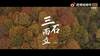 三十而立！武磊：想学教练证，为中国足球做贡献！