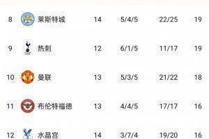 英超积分榜：车城军赢球仍居前三，埃弗顿近8轮2平6负排第14