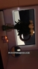 恶搞配音！乔治娜：罗哥大帅小伙子别照啦，帅呆了酷毙了🤣